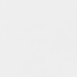 Pennellata Bianca Tile | Gio Ponti Store